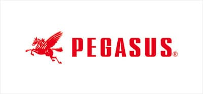 ペガサスミシン製造の平均年収はいくら？